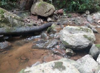 Guardaparques Provinciales colaborarán en los trabajos de provisión de agua en el Norte