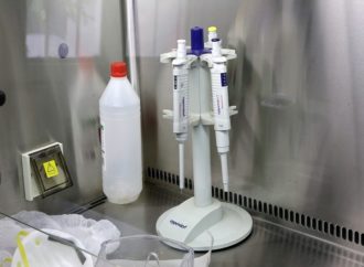 Coronavirus en Salta: No se registran nuevos casos en estudio