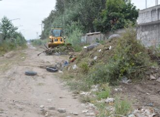 Continúa la lucha contra el Dengue