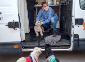 Se reanudó el servicio del Hospital Municipal de Salud Animal y del Móvil Quirúrgico