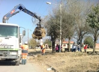 Operativo de limpieza integral en el barrio Asunción