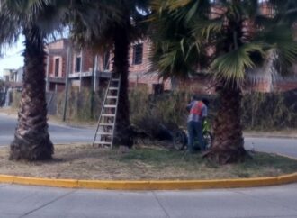 Ejecutan trabajos de mantenimiento en espacios verdes y accesos a barrios