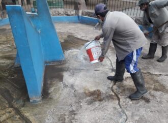Renovación Urbana arregla la plaza Alvarado
