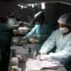 Realizaron 8 cirugías de alta y mediana complejidad en el Hospital Municipal de Salud Animal