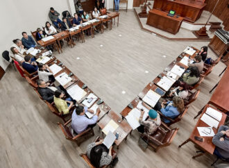 En comisión de medio ambiente abordaron una iniciativa que busca prevenir la sobrepoblación de perros y gatos