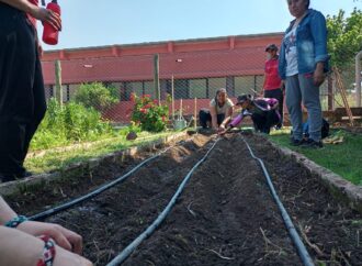 El municipio implementa el riego por goteo en las huertas de la ciudad