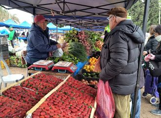 Exitosa edición de “El mercado en tu barrio” en la zona sur