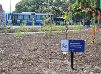 La Municipalidad ejecuta tareas de parquización en espacios verdes de la ciudad