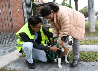 Conocé el cronograma de vacunación antirrábica de esta semana