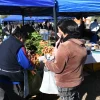 Familias de la zona sur aprovecharon las promociones de “El Mercado en tu barrio”