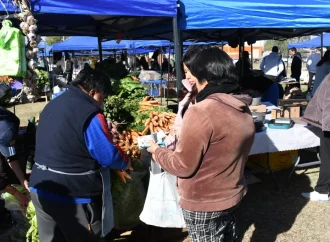 Familias de la zona sur aprovecharon las promociones de “El Mercado en tu barrio”
