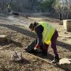 La Municipalidad limpió y despejó el parque Los Lapachos